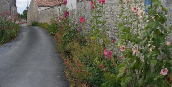Qui doit nettoyer le trottoir devant sa maison ?