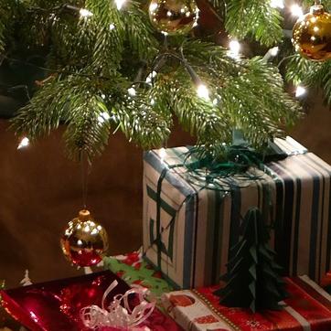 Idees De Cadeaux A Noel Pour Un Jardiniers Ou Une Jardiniere