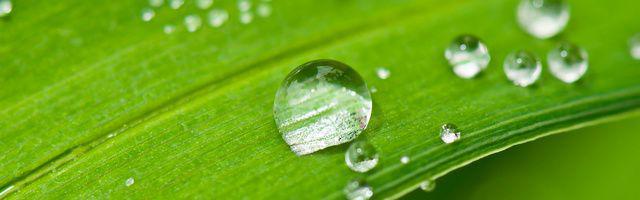 ceci%20peut%20vous%20interresser%20les%20produits%20bio