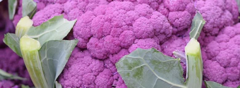 chou fleur%20violet%20de%20sicile