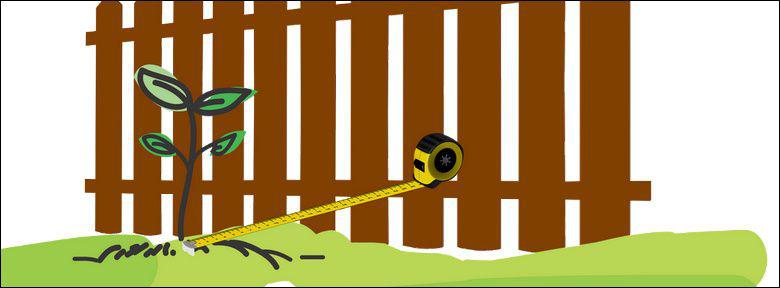 distances legales de plantation des arbres et des haies