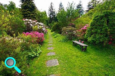 Creer Un Jardin A L Anglaise Plan
