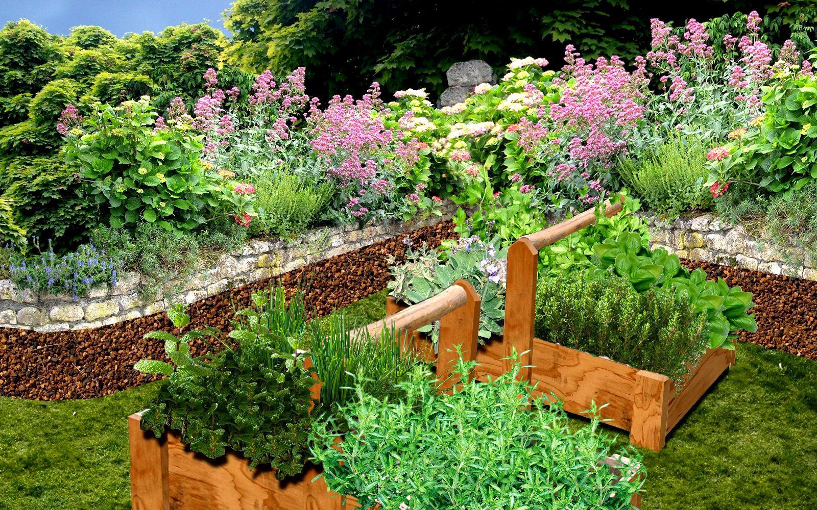 Créer un jardin de simples : aromatiques, médicinales, plantes utiles