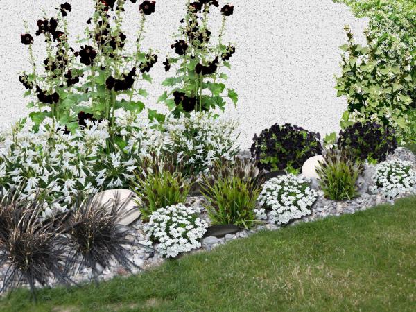 créer un massif de fleurs blanches et noires