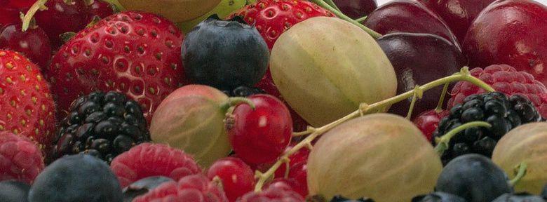 les petits fruits rouges : culture