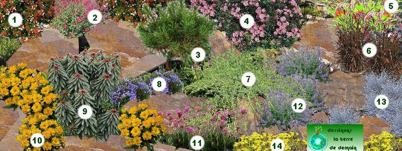 creer une rocaille: rocaille de fleurs: rocaille plantes vivaces
